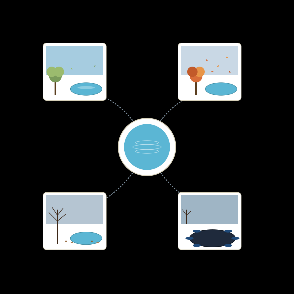 Decision tree infographic: central pool hub with arrows to early fall, peak leaf season, late fall, and closed panels
