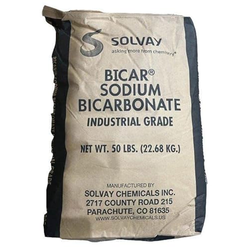 In The Swim Solvay Bicar Alkalinity Up, 50 lb